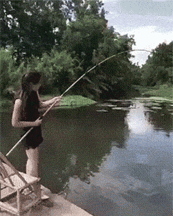 0005.gif