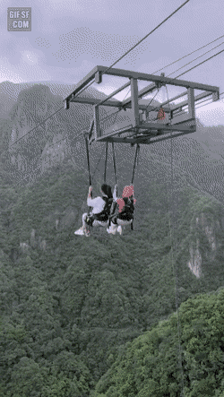 11.gif