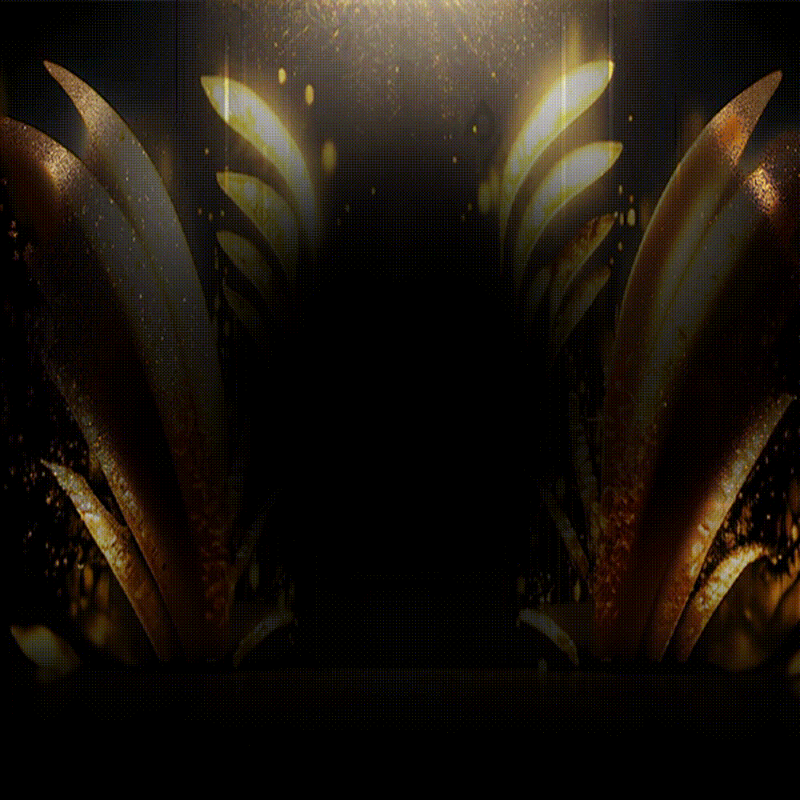rladusdk6.gif