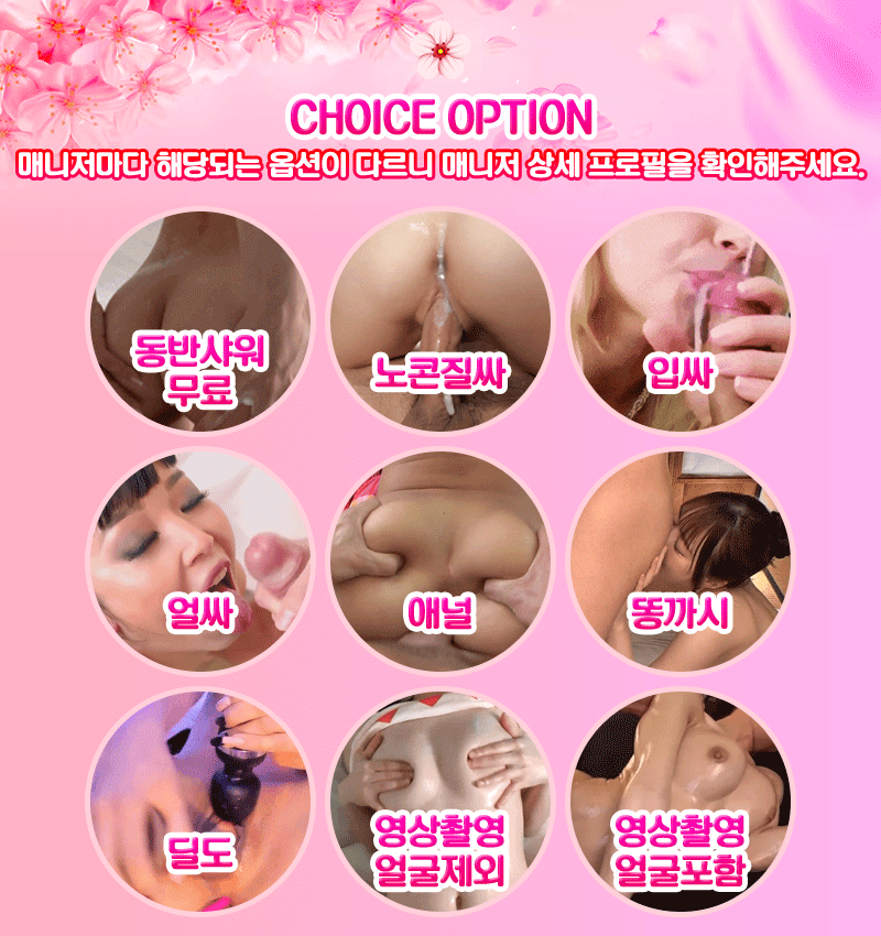 4.옵션.gif