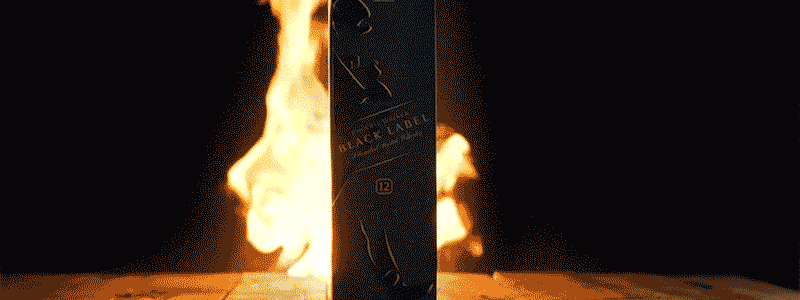 6.gif