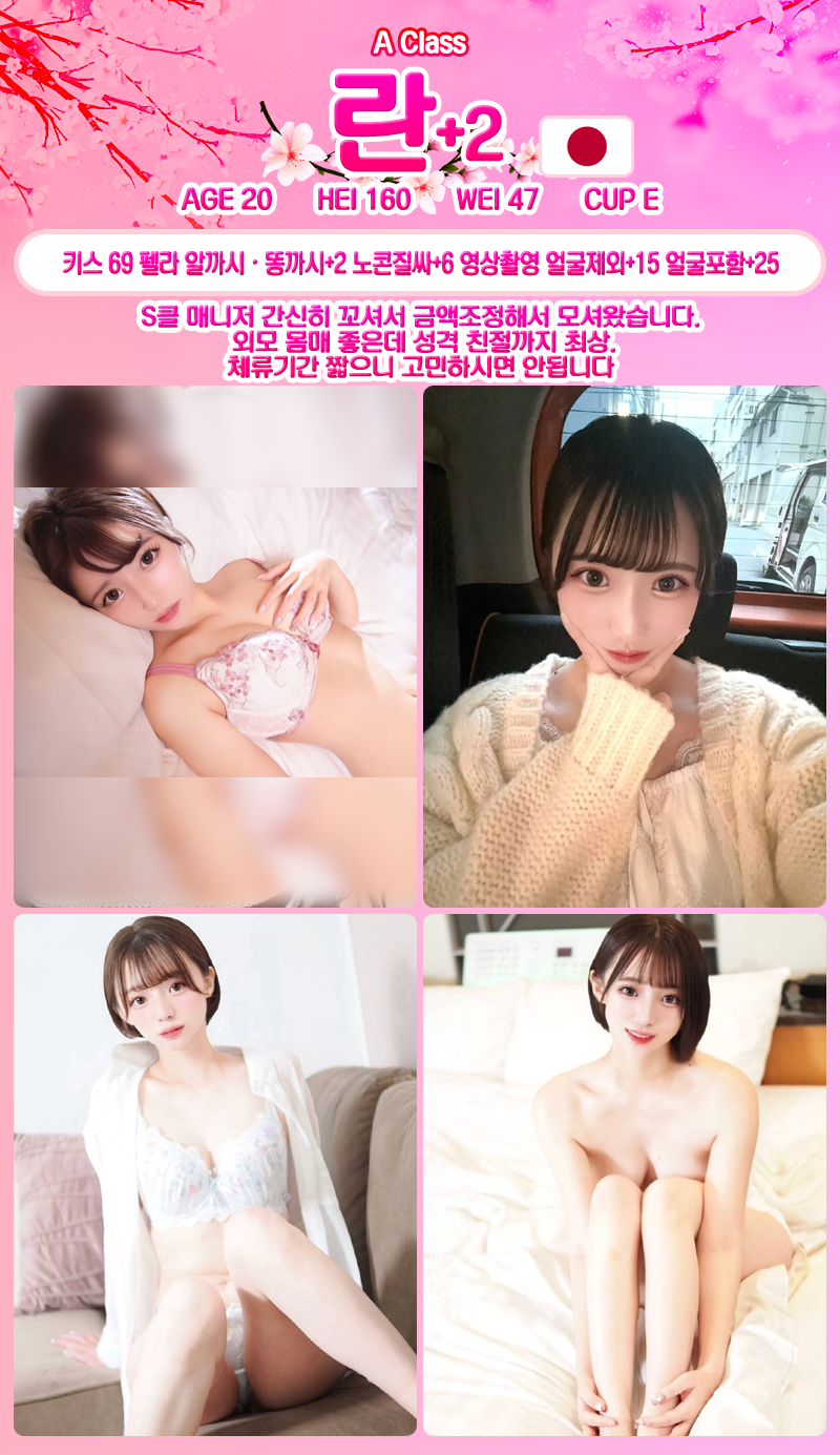 란.png
