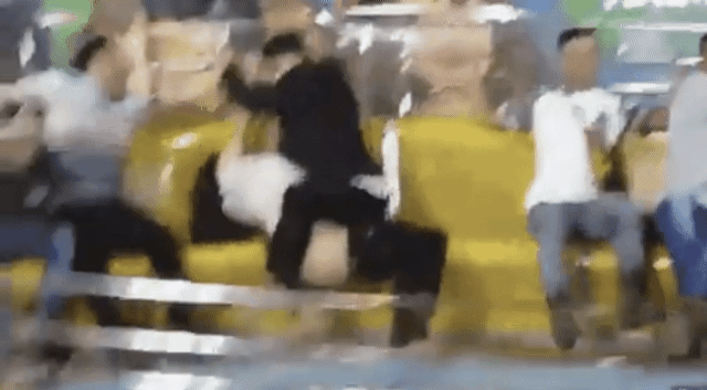 1.gif