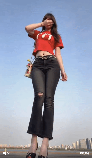 2.gif