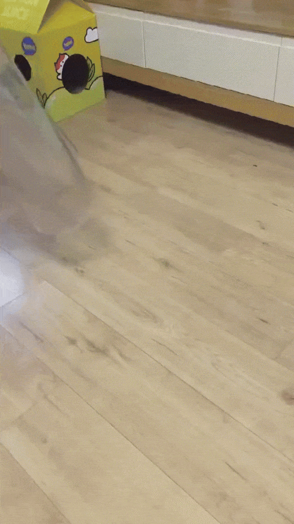 1.gif