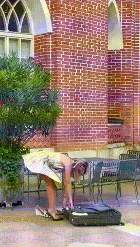 1.gif