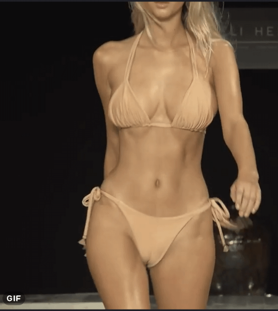 1.gif
