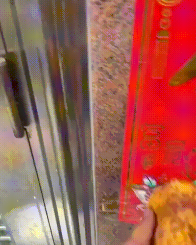 1.gif