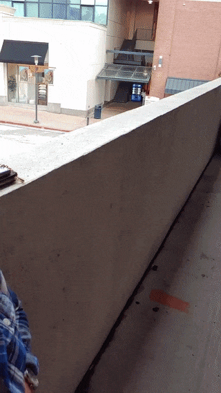 1.gif