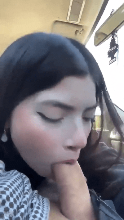 2.gif