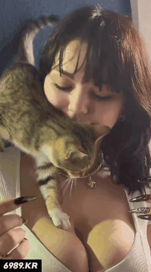 5.gif