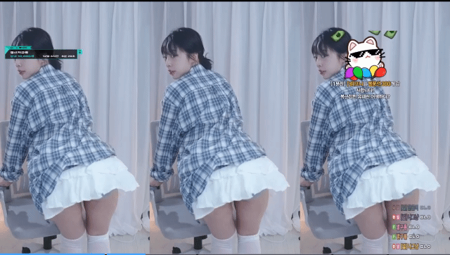 11.gif
