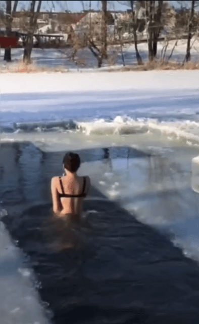 2.gif
