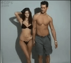 1.gif