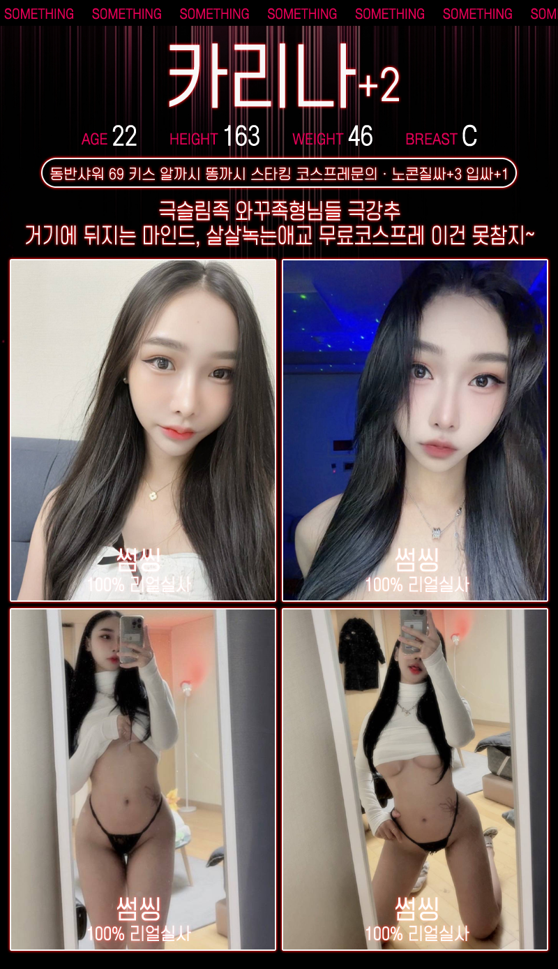 카리나.png
