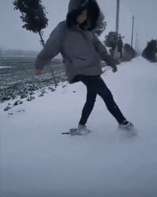 1.gif