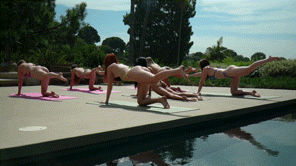 1.gif