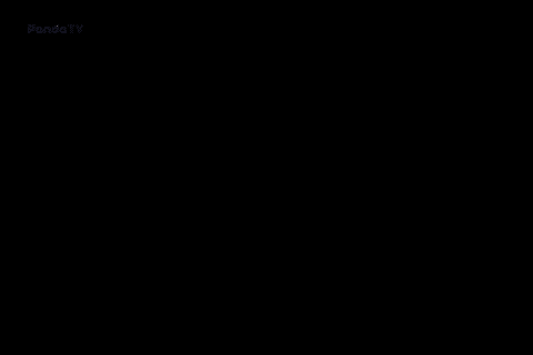 5.gif