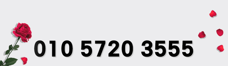 4484_1772942522.1221.gif