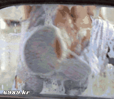 5.gif
